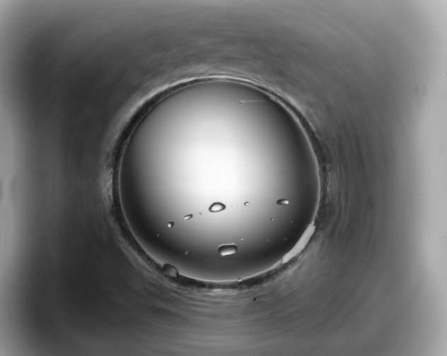 X0000098091503200804110952