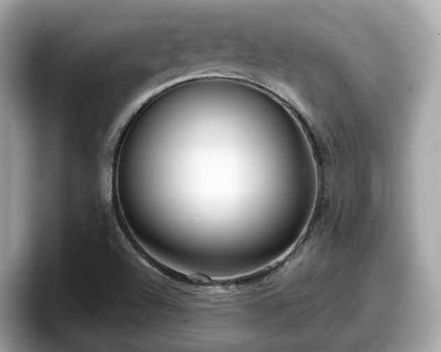 X0000098091504200804110952