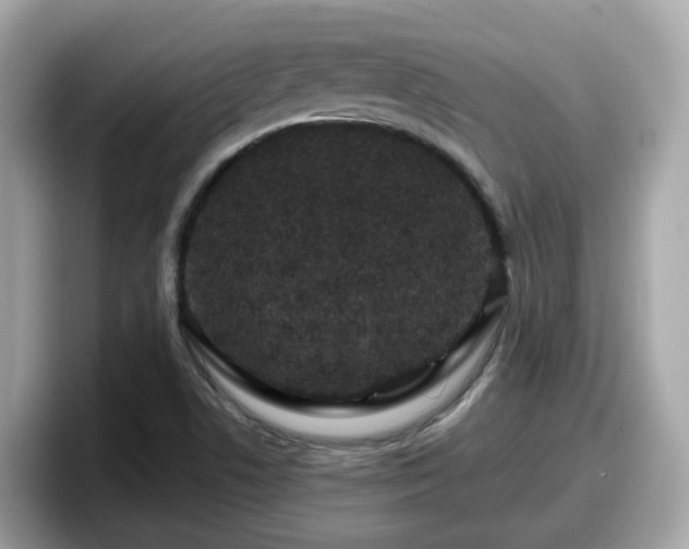 X0000098091506200804110952