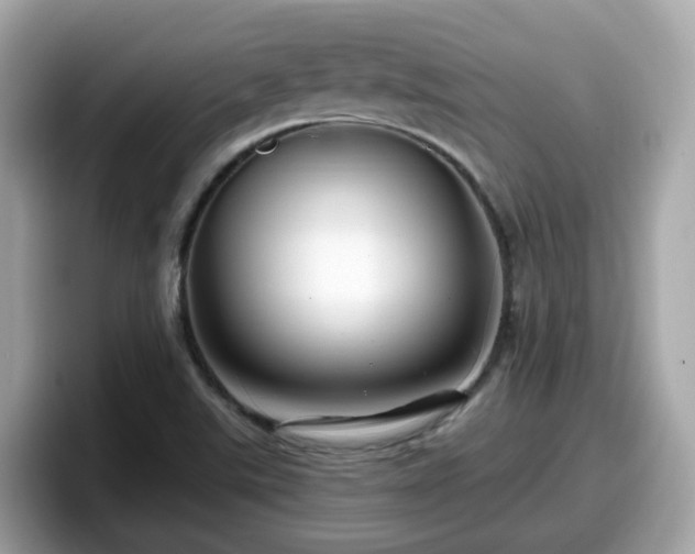 X0000098091507200804110952