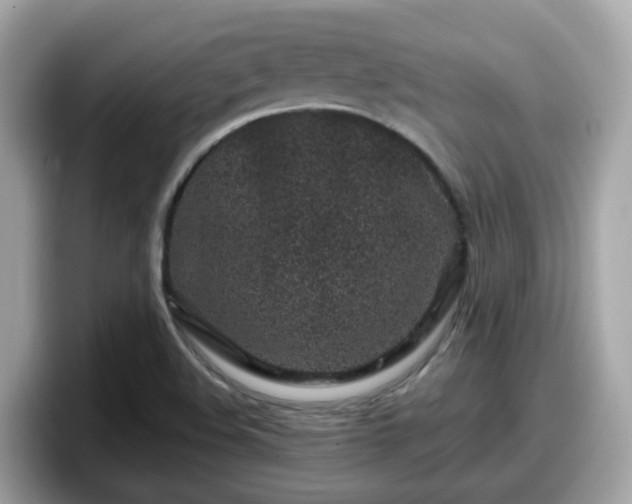 X0000098091508200804110952