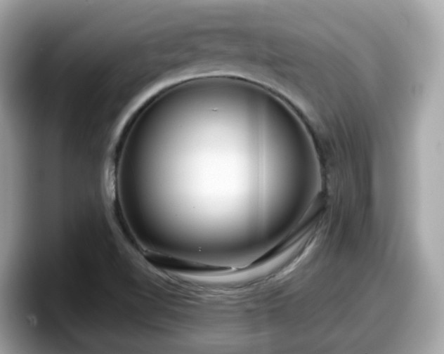 X0000098091510200804110952