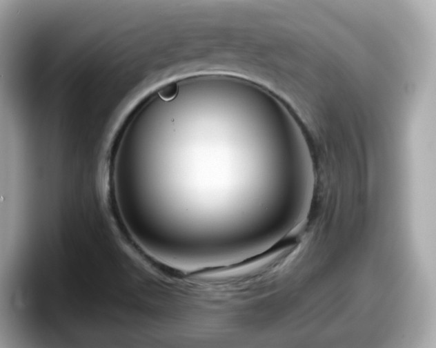 X0000098091511200804110952