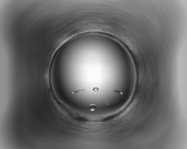 X0000098091513200804110952