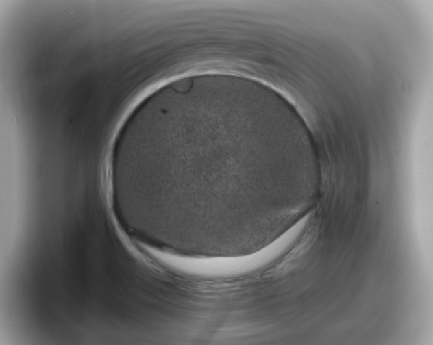X0000098091515200804110952