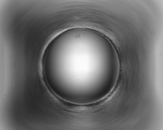 X0000098091517200804110952