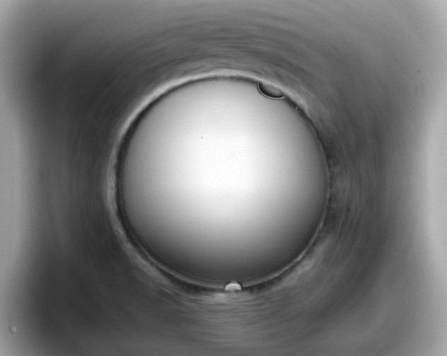 X0000098091518200804110952