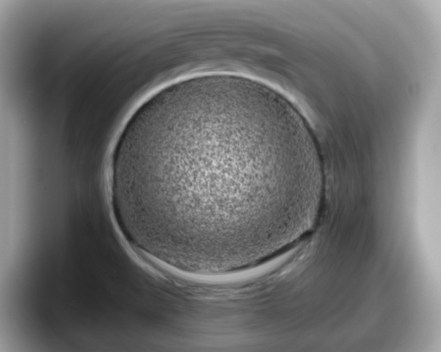 X0000098091519200804110952