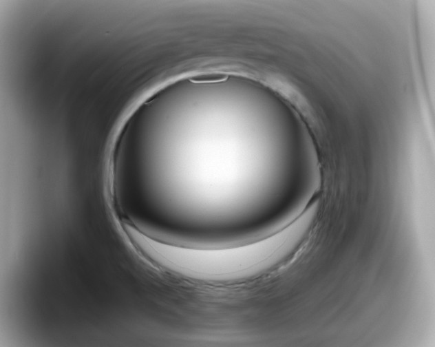 X0000098091520200804110952