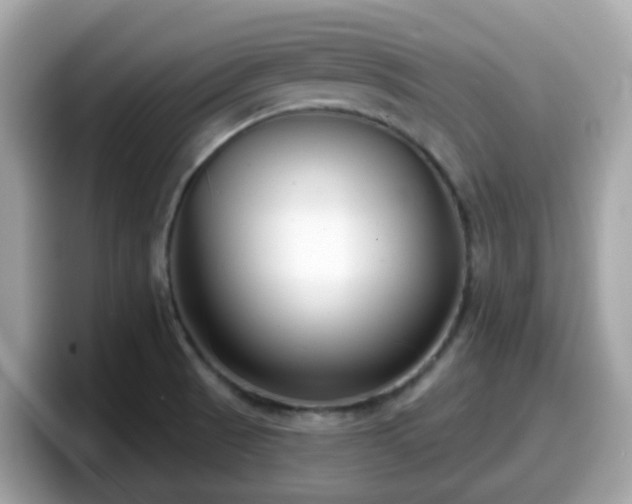 X0000098091521200804110952
