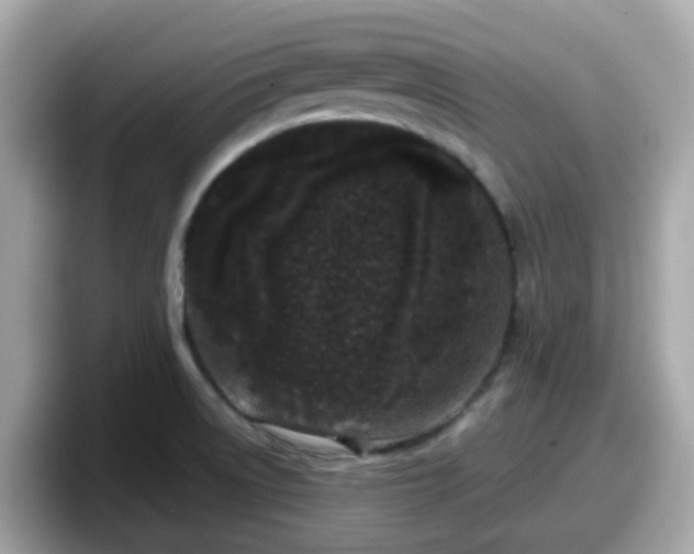 X0000098091522200804110952