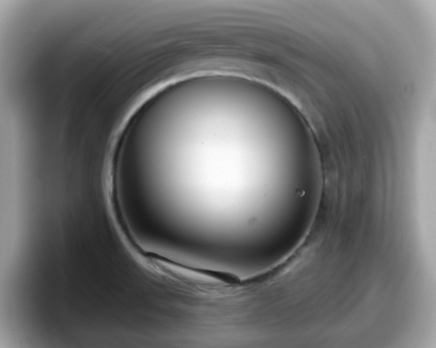 X0000098091523200804110952