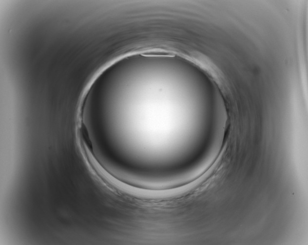X0000098091524200804110952