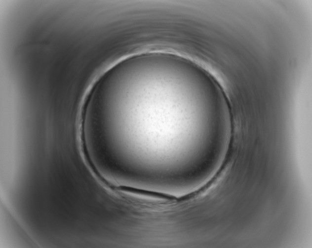 X0000098091525200804110952