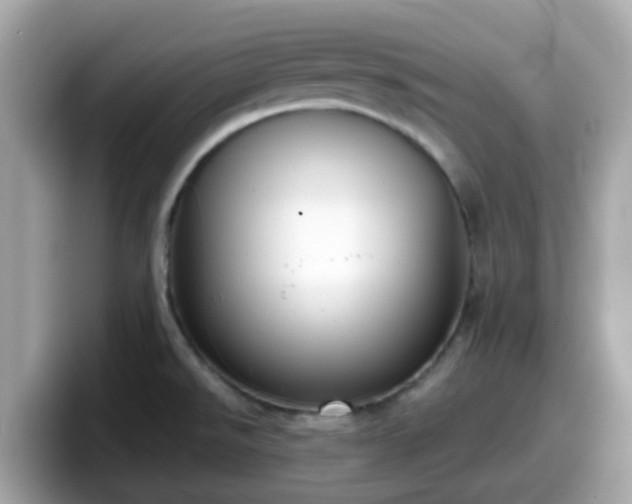 X0000098091526200804110952