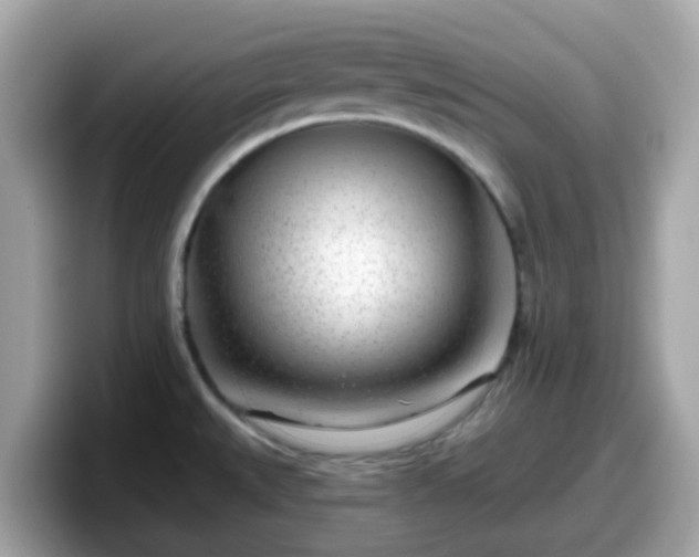 X0000098091527200804110952
