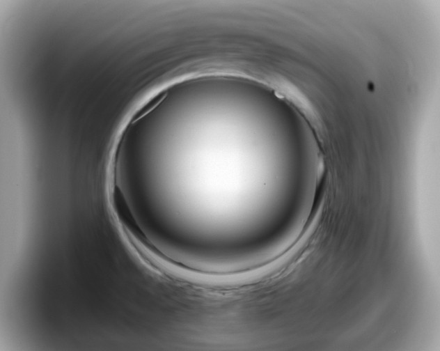 X0000098091528200804110952