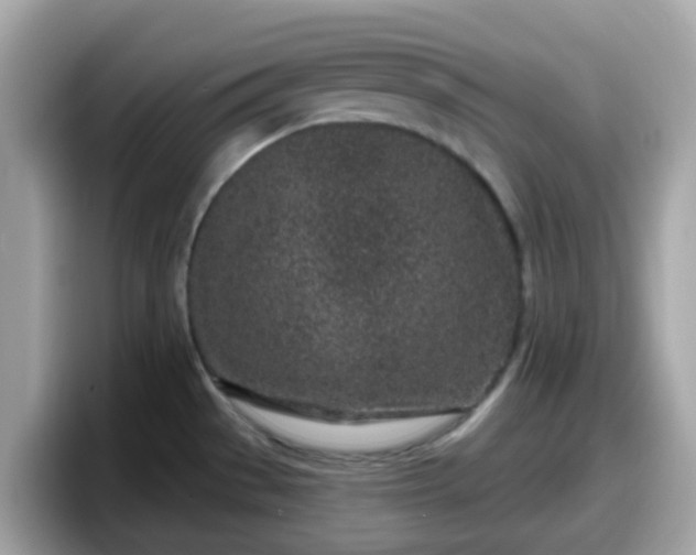 X0000098091529200804110952