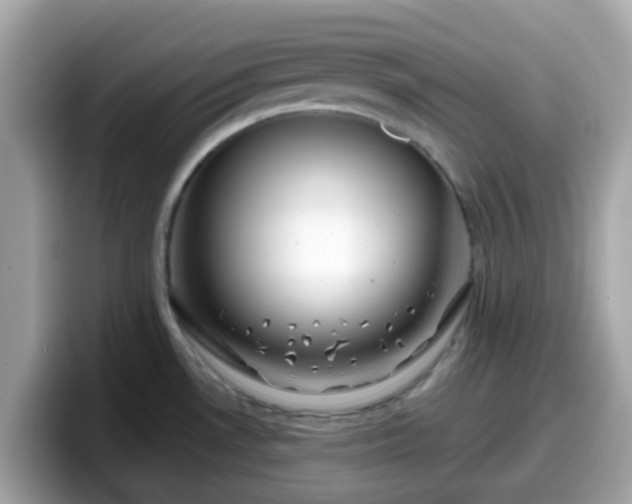 X0000098091530200804110952