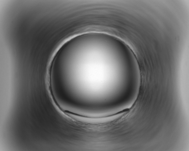 X0000098091531200804110952
