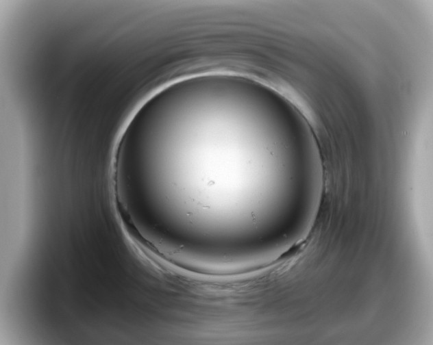 X0000098091532200804110952