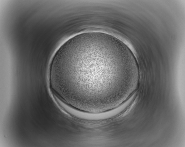 X0000098091533200804110952