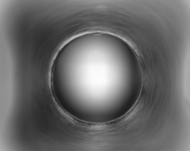 X0000098091535200804110952