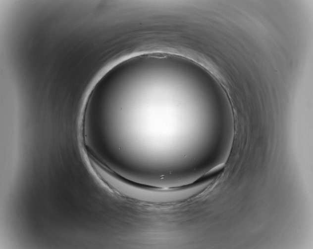 X0000098091536200804110952