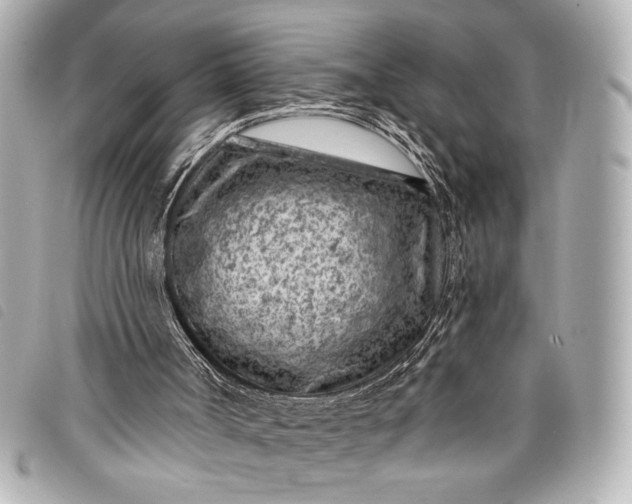 X0000098090002200804181248