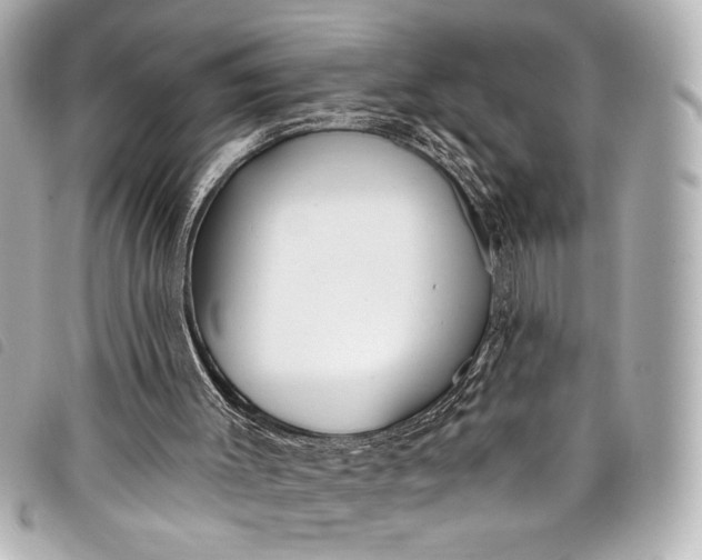 X0000098090003200804181248