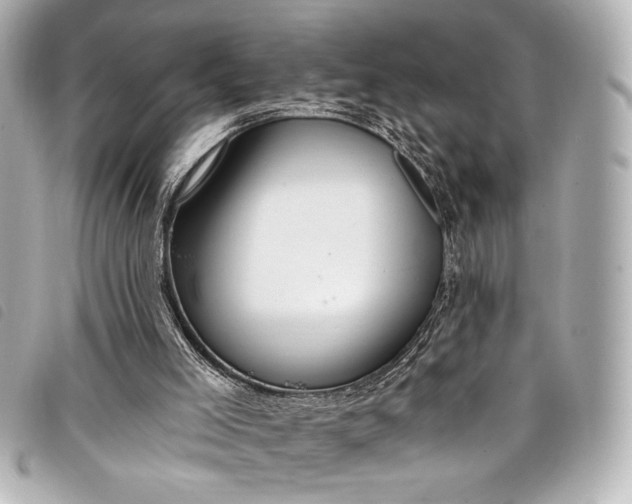 X0000098090005200804181248