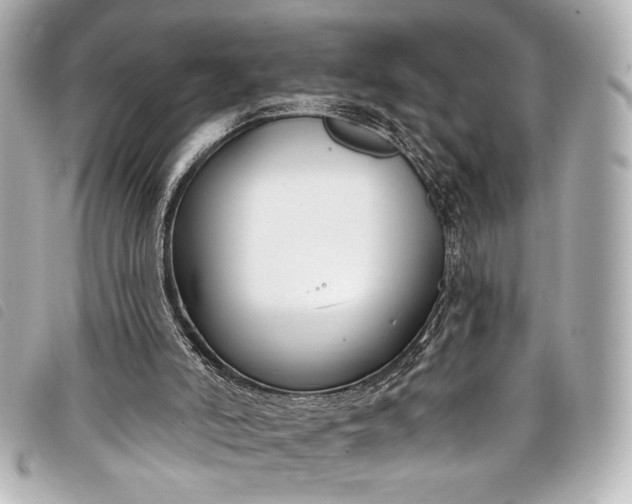 X0000098090006200804181248