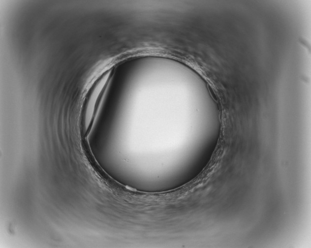 X0000098090007200804181248