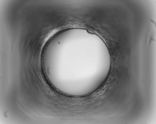 X0000098090008200804181248