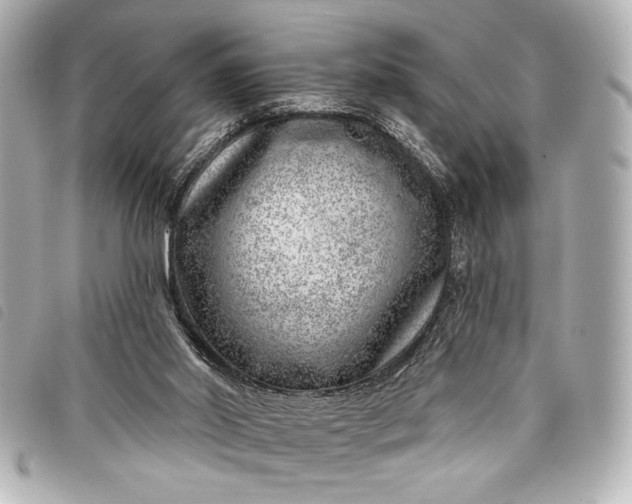 X0000098090014200804181247