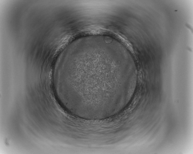 X0000098090018200804181247