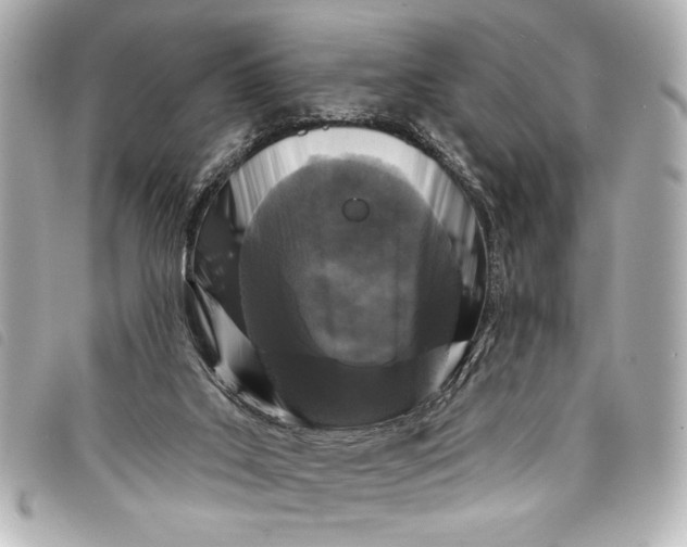 X0000098090019200804181247