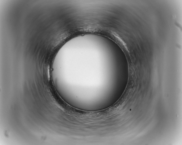 X0000098090020200804181247