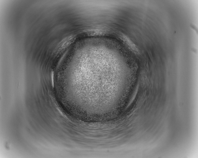 X0000098090022200804181247
