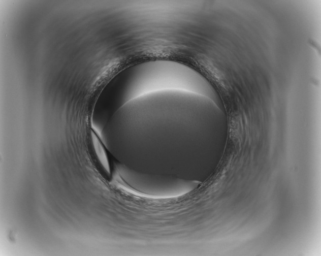 X0000098090023200804181247