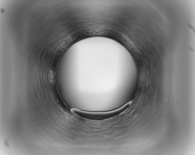 X0000098090025200804181247