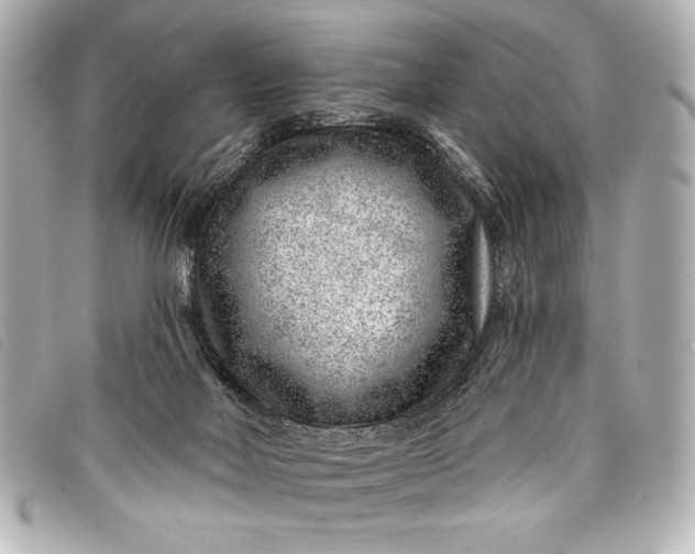 X0000098090026200804181247