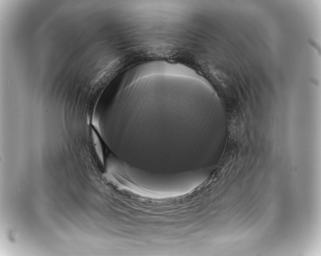 X0000098090027200804181247