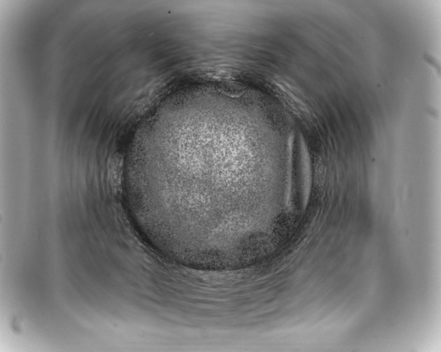 X0000098090030200804181247