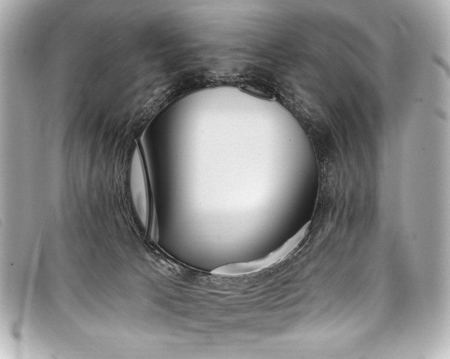 X0000098090033200804181247
