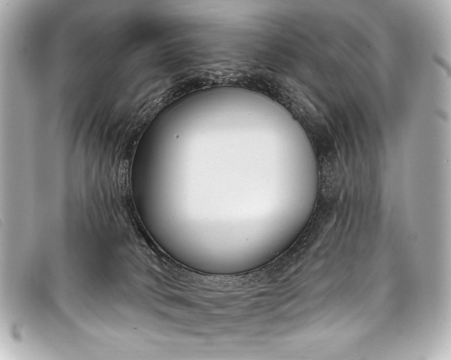 X0000098090034200804181247