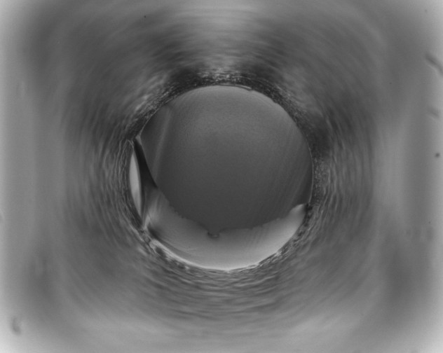 X0000098090039200804181247