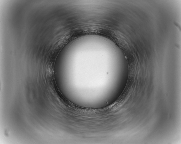 X0000098090040200804181247
