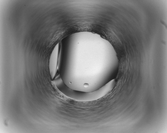 X0000098090041200804181247