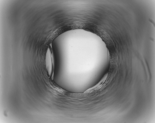 X0000098090045200804181247